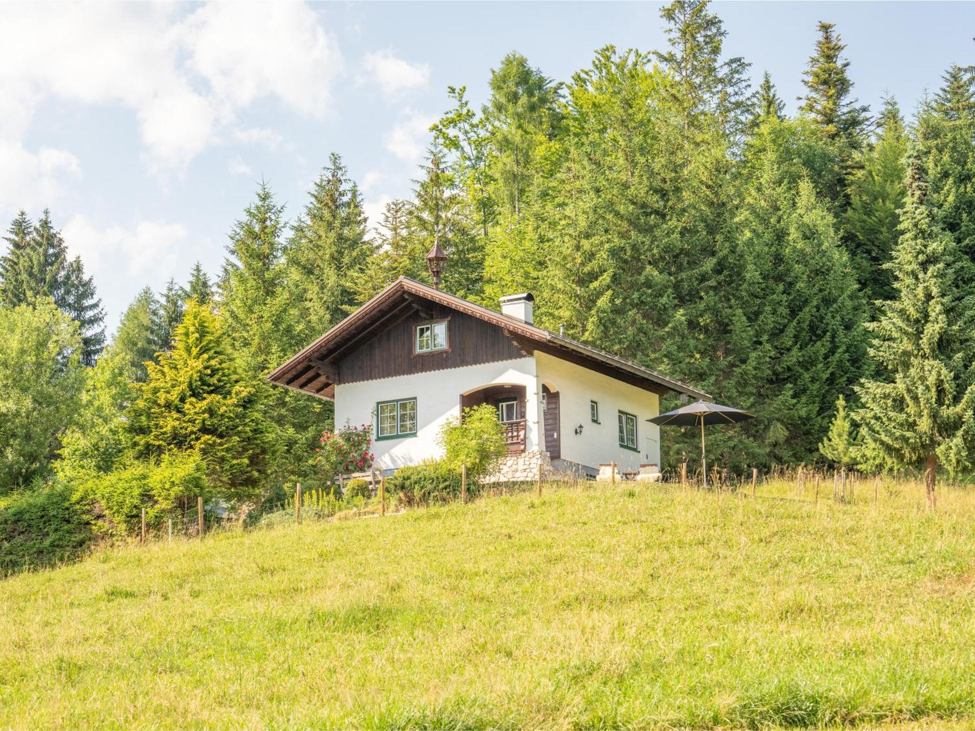 Strickerl Villa Bad Goisern Kültér fotó